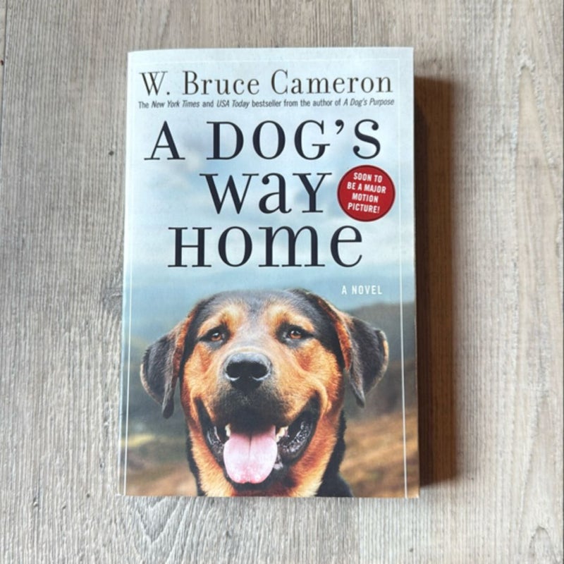 A Dog's Way Home