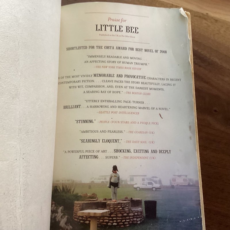 Little Bee