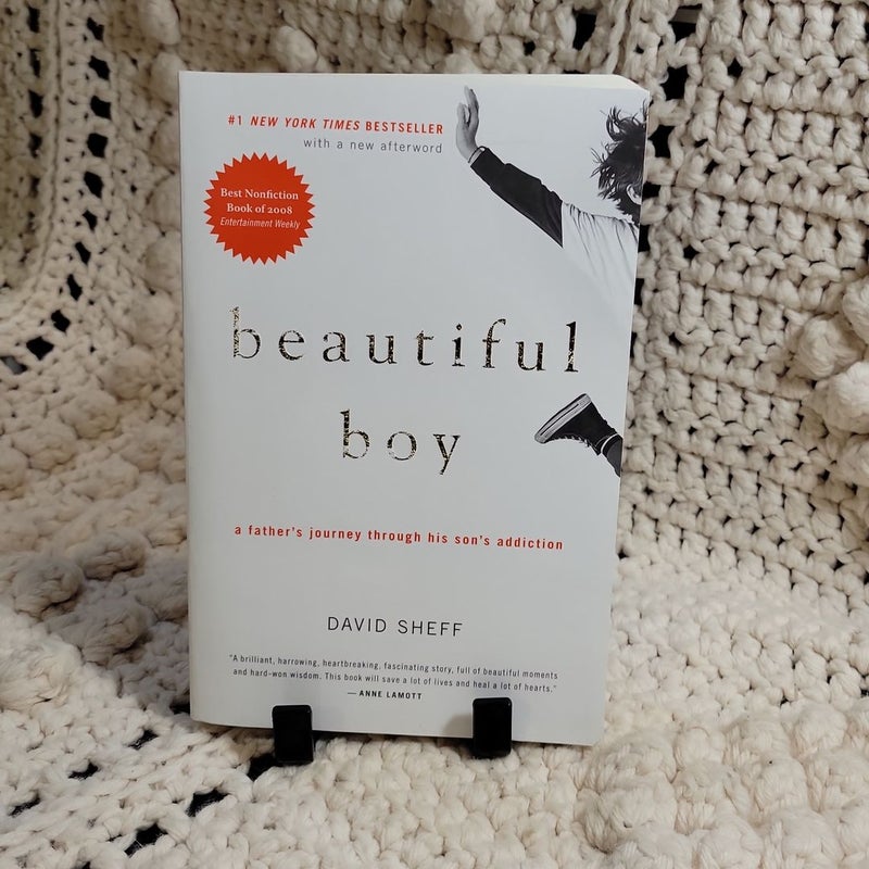 Beautiful store boy book