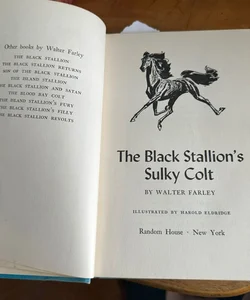 The Black Stallion’s Sulky Colt