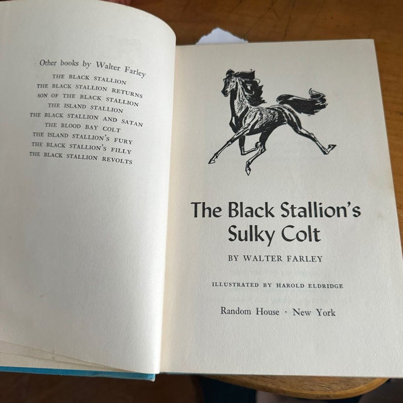 The Black Stallion’s Sulky Colt