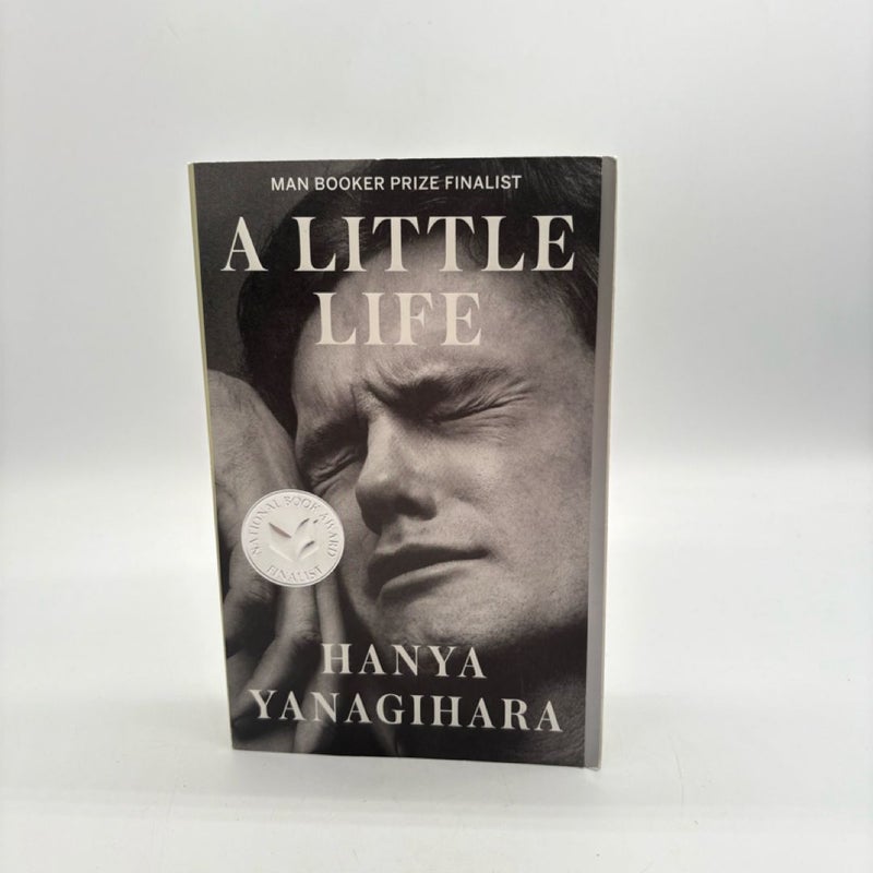 A Little Life