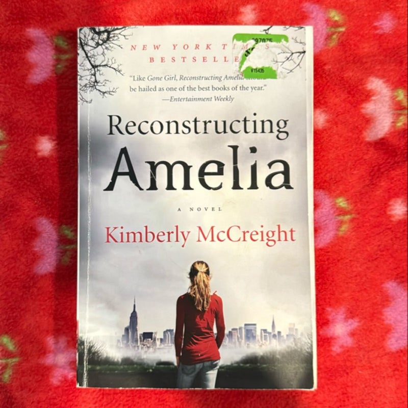 Reconstructing Amelia