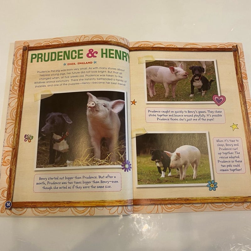 Bundle of 5 Kids’ Books About Animal Friendship Stories