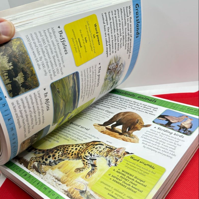 Children's A to Z Encyclopedia