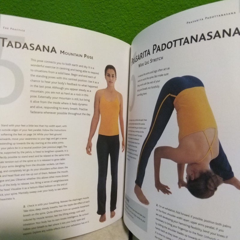 その他 50 Best... Yoga Positions 50 Best Yoga Positions by Parragon, Paperback | Pangobooks