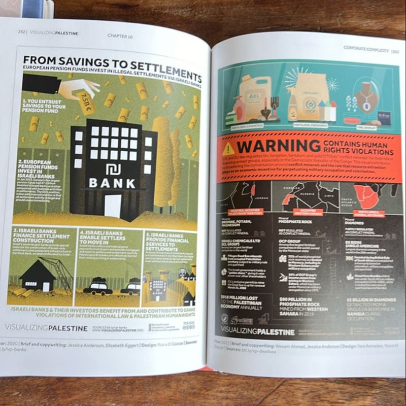 Visualizing Palestine