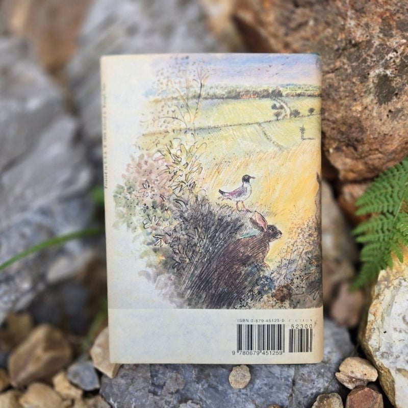 Tales from Watership Down