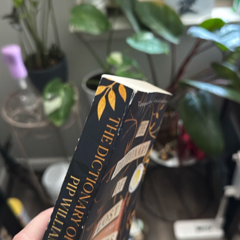 The Dictionary of Lost Words