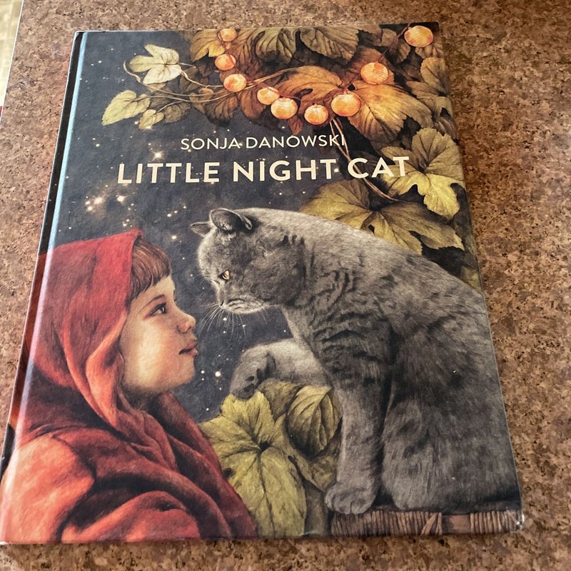 Little Night Cat
