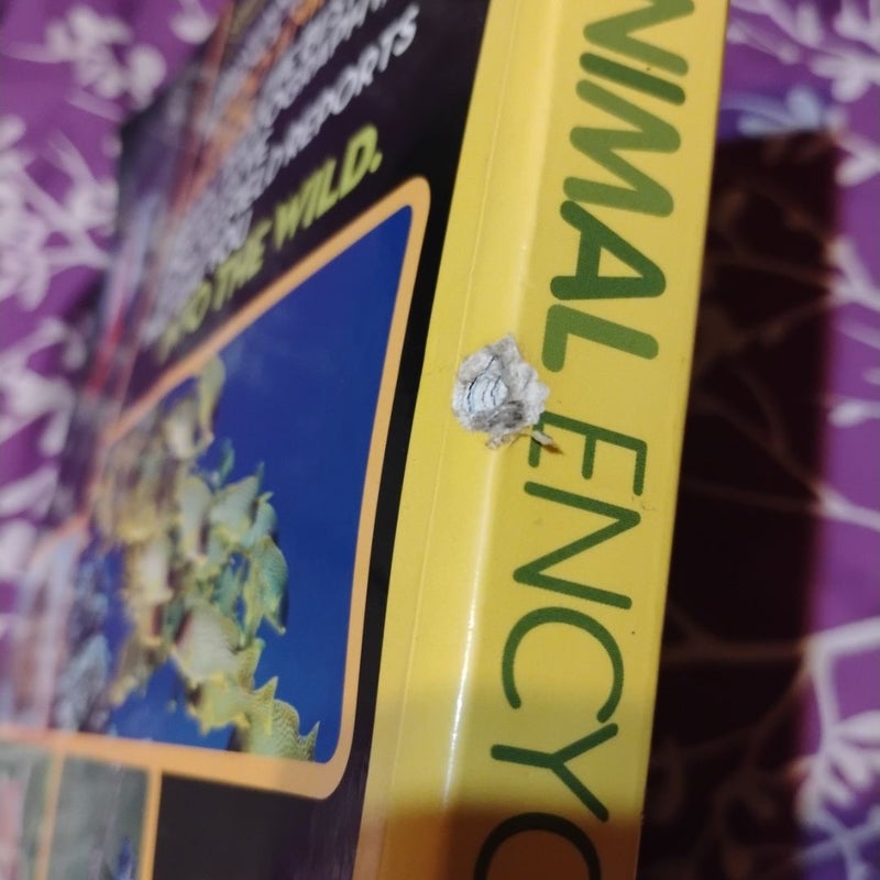 National geographic animal encyclopedia