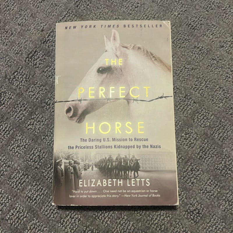 The Perfect Horse