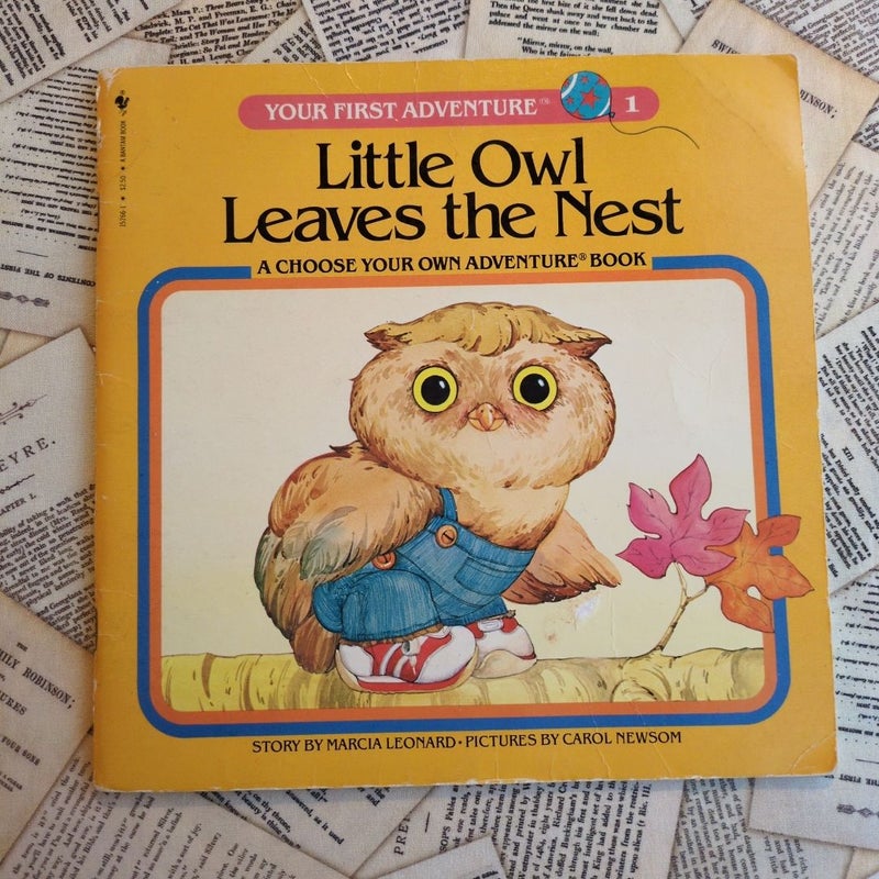 Your First Adventure #1: Little Owl Leaves the Nest