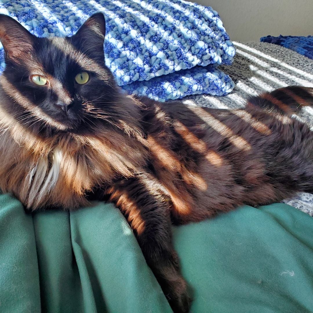 BinxBaby