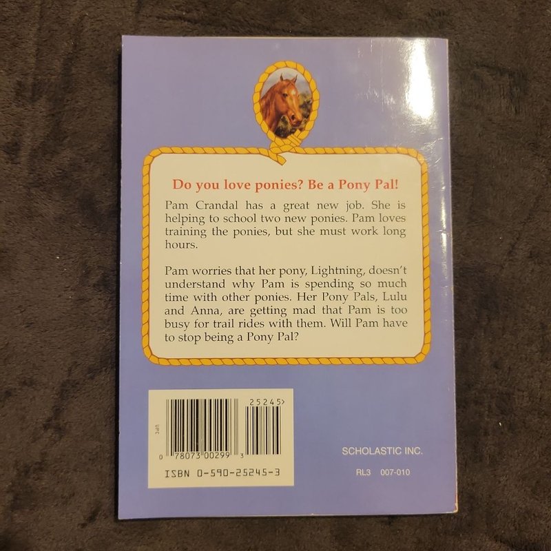 Too Many Ponies by Jeanne Betancourt