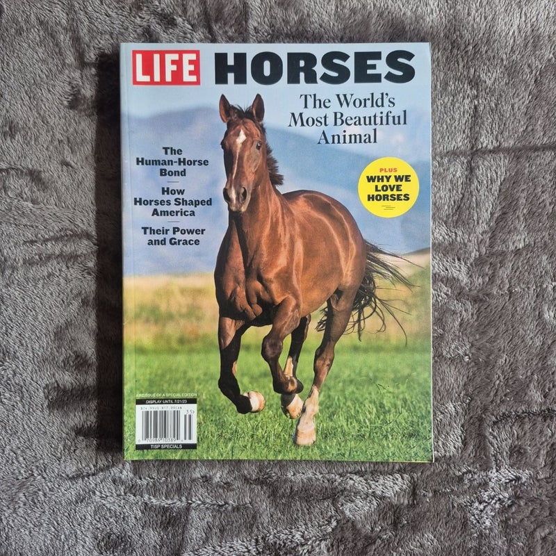 3 Magazines about Horses