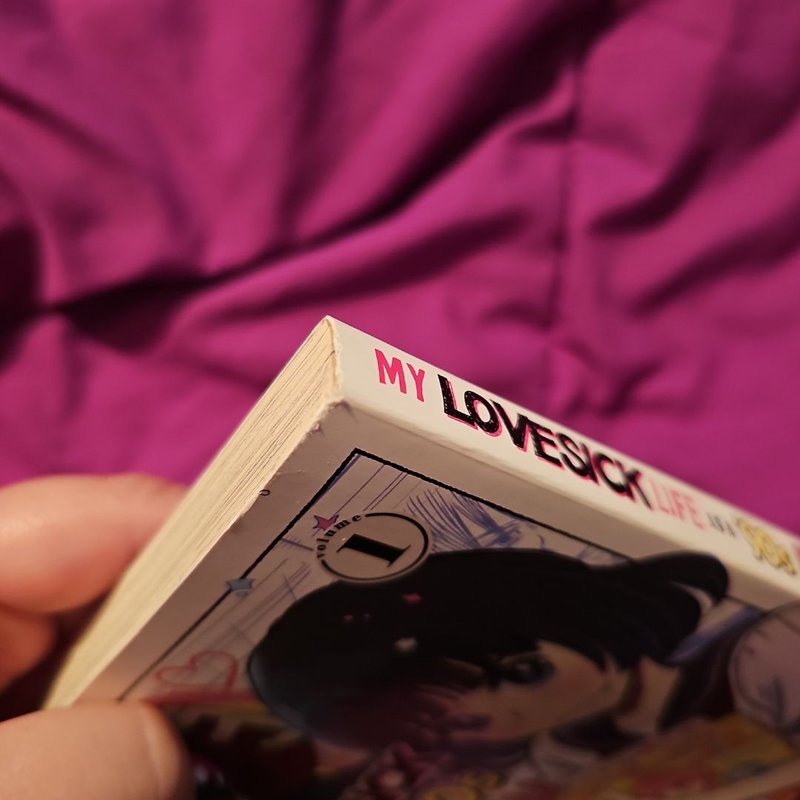 My Lovesick Life As a '90s Otaku 1