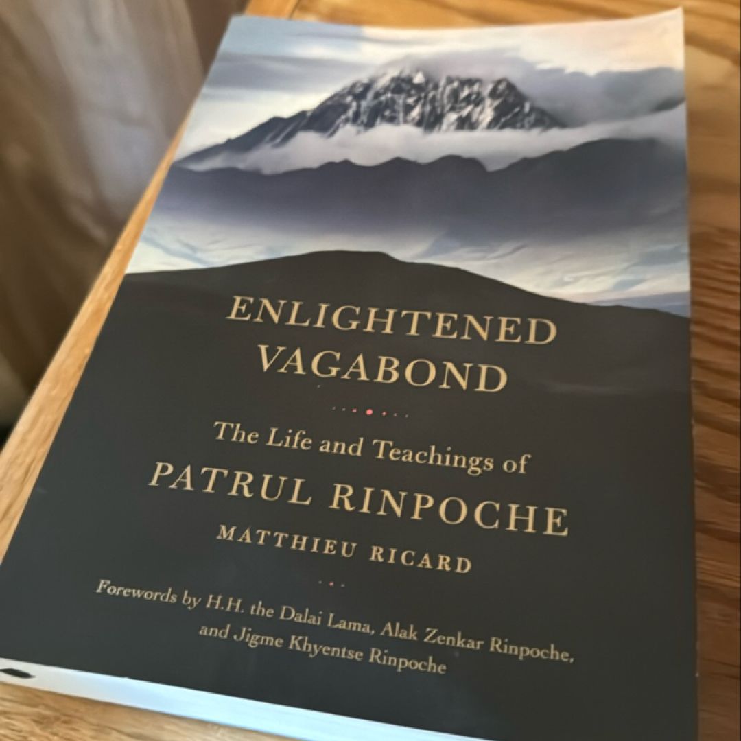 Enlightened Vagabond