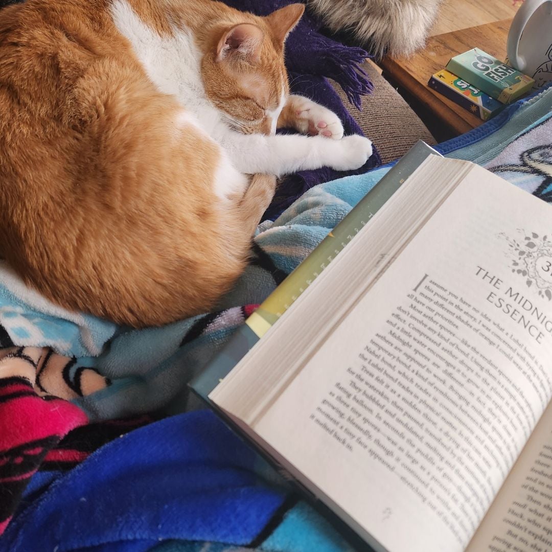 Embee's Books