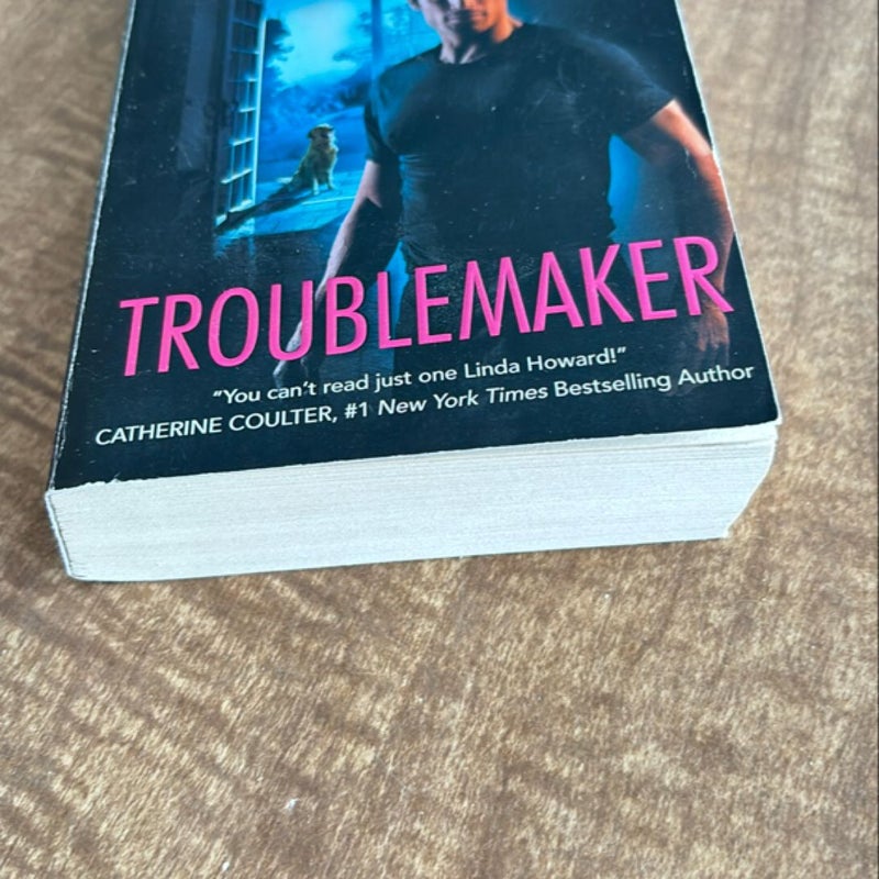 Troublemaker