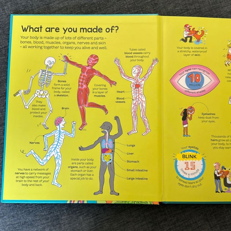Usborne Big Book of the Body