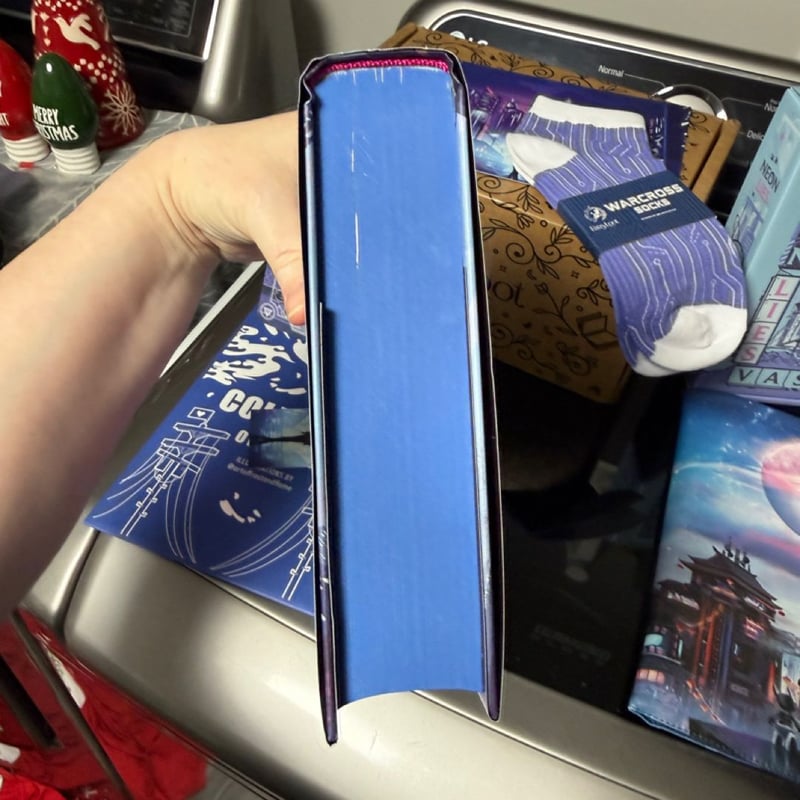 Fairyloot November YA Box Coldwire