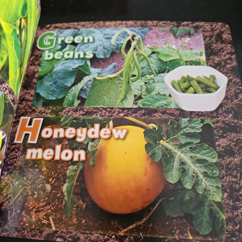 Y is for Yum, Yum, YUM