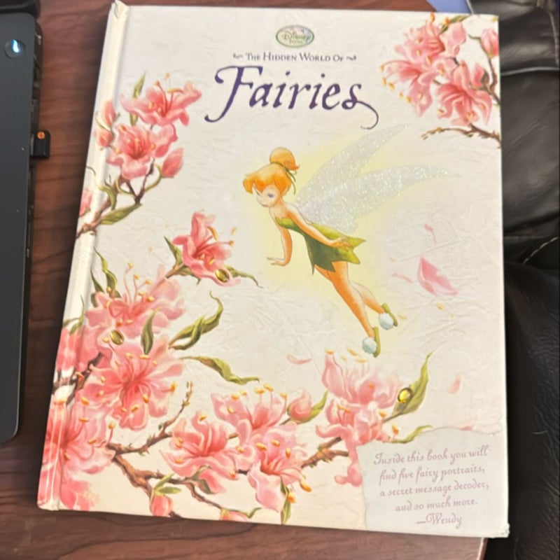 The Hidden World of Fairies