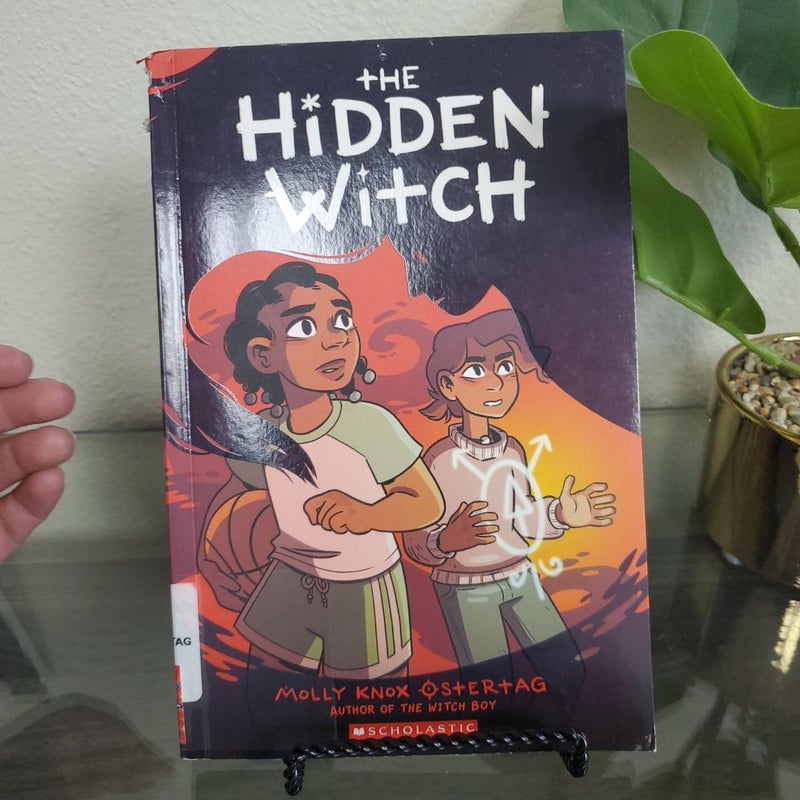 The Hidden Witch