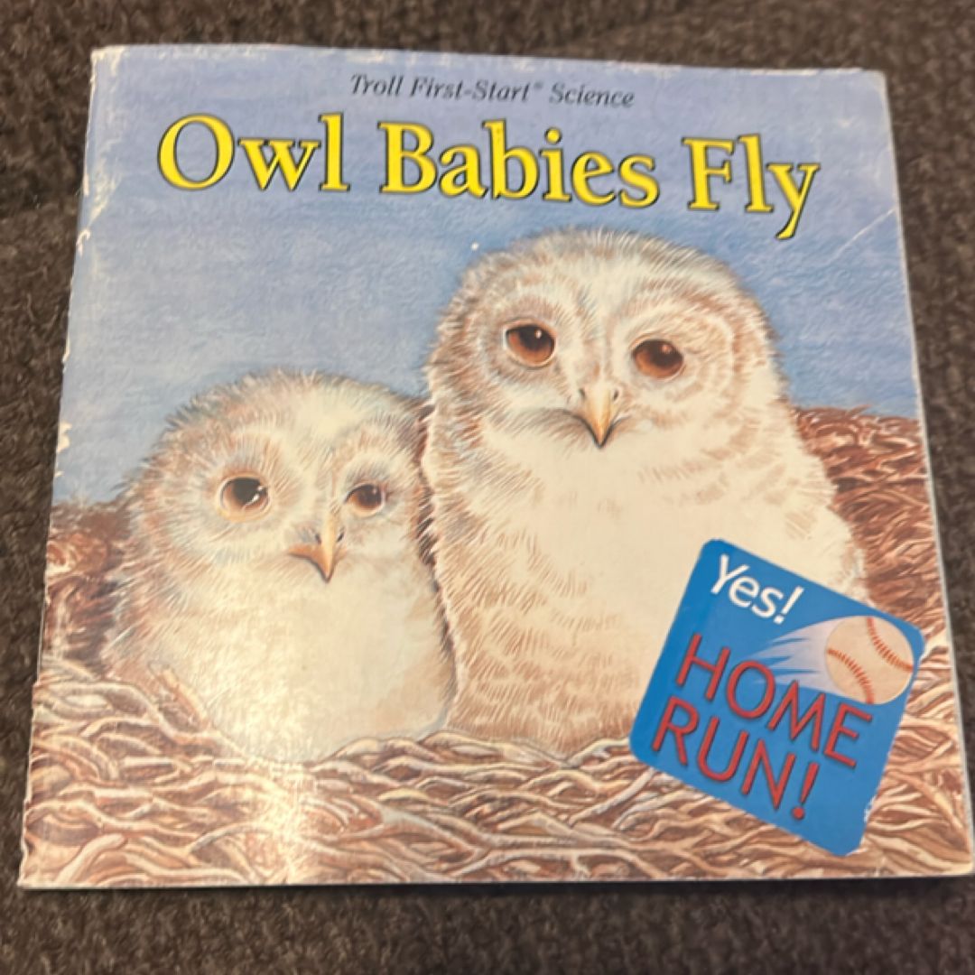 Owl Babies Fly