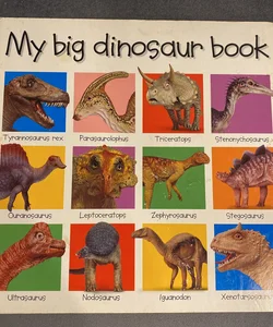 My Big Dinosaur Book