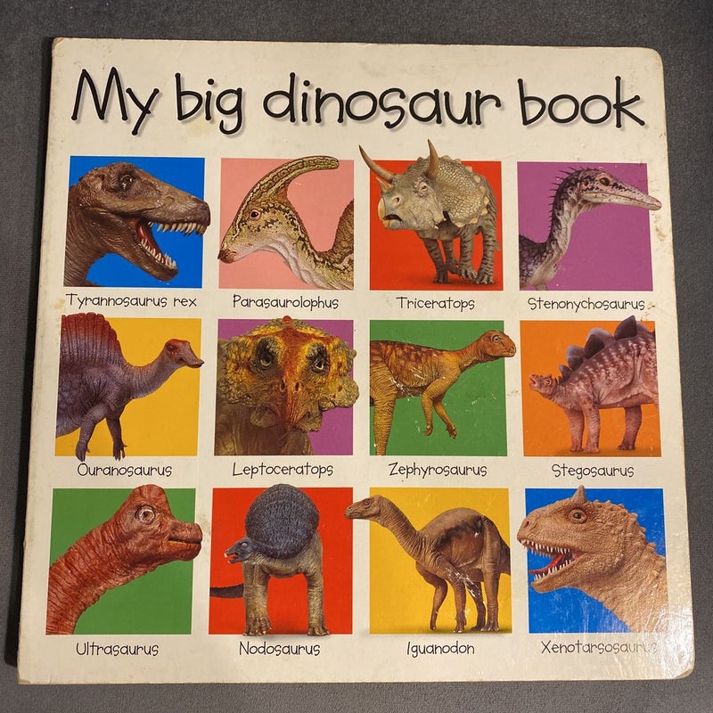 My Big Dinosaur Book