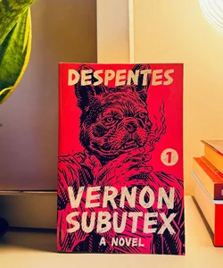 Vernon Subutex 1