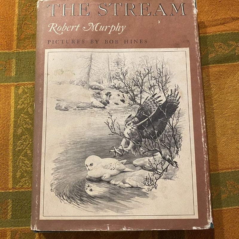 The Stream 