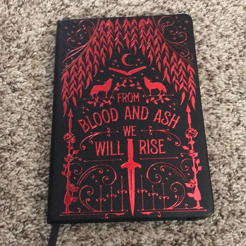 Fairyloot FBAA Reading Journal