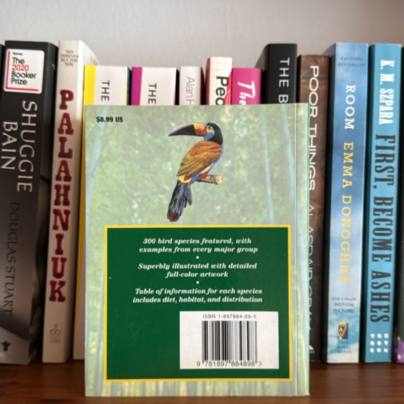 Expert Guide: Birds