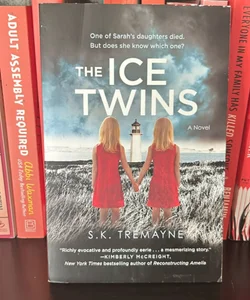 The Ice Twins