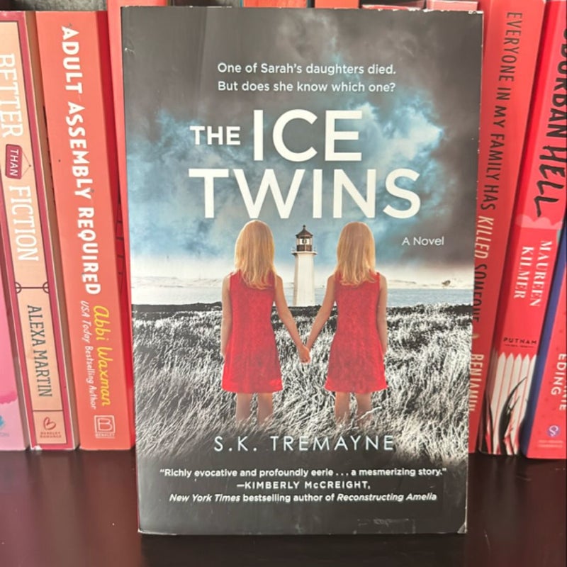 The Ice Twins