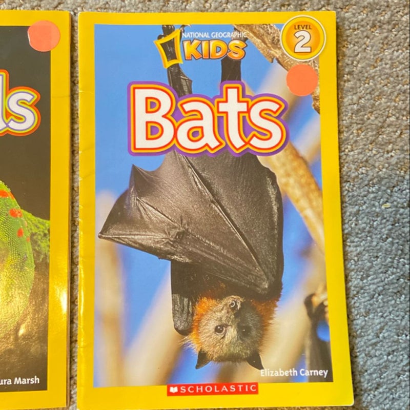 National Geographic Kids: Frogs, Lizards, Bats