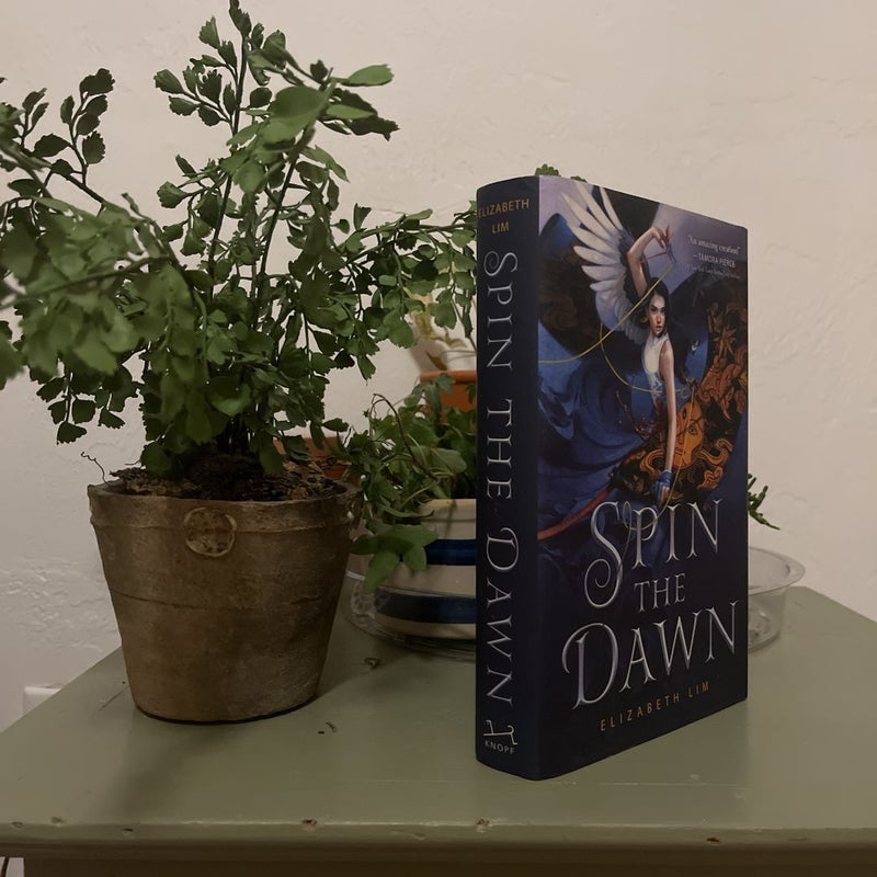 Spin the Dawn