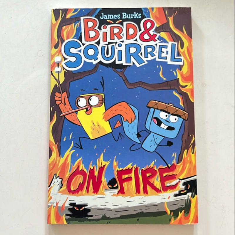 Bird and Squirrel on Fire