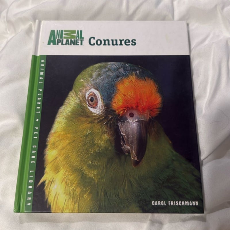 Conures