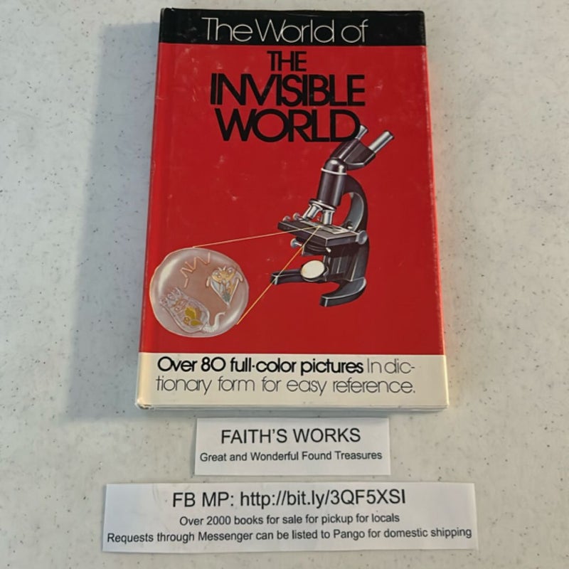 The World of The Invisible World 