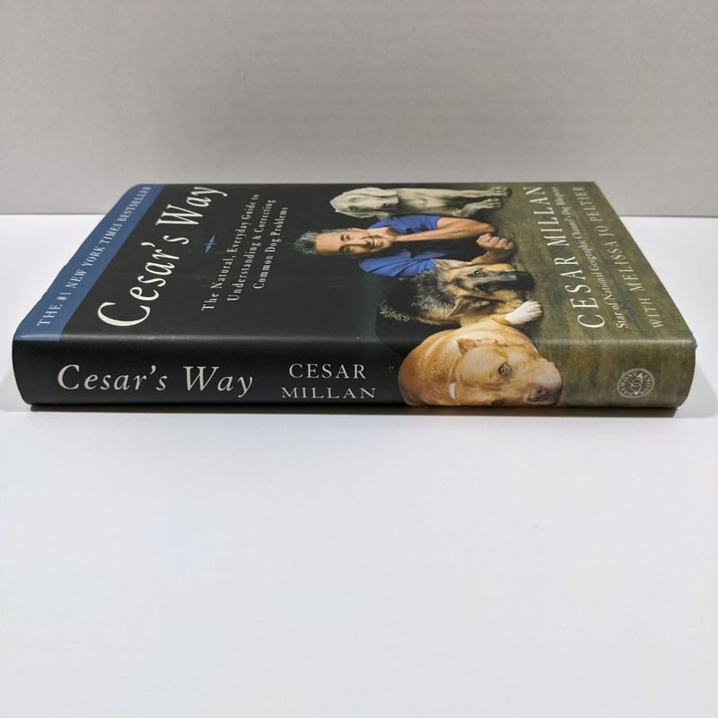 Cesar's Way