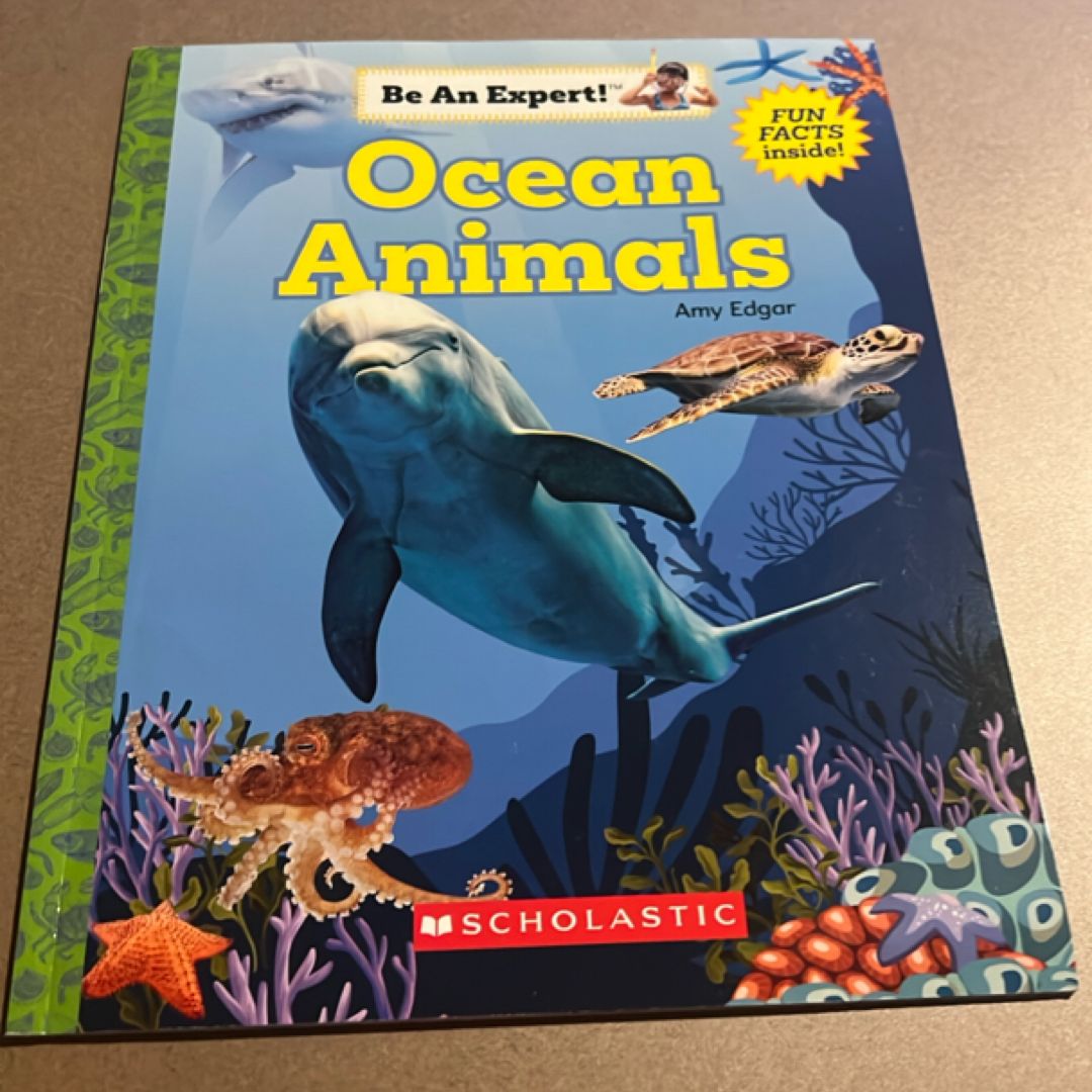 Ocean Animals (Be an Expert!) (paperback)
