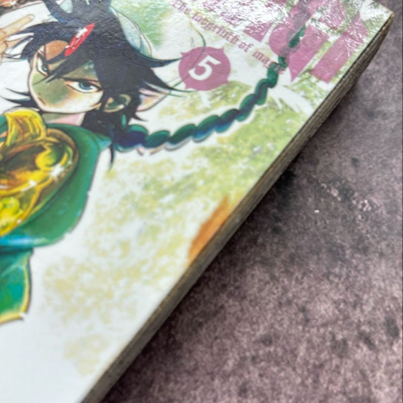 Magi: the Labyrinth of Magic, Vol. 5