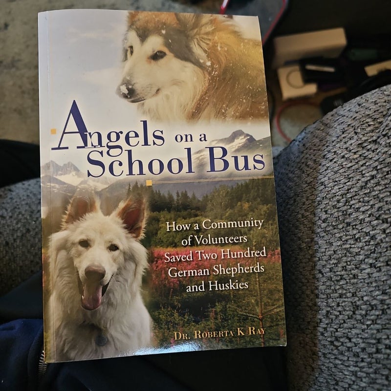 Angels on a School Bus