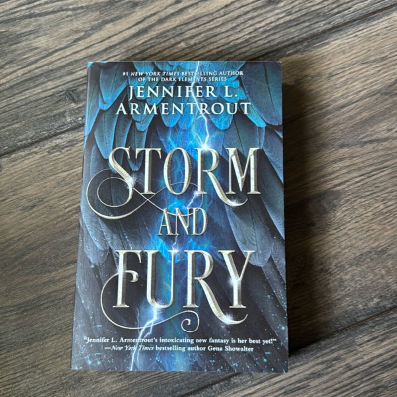 Storm and Fury
