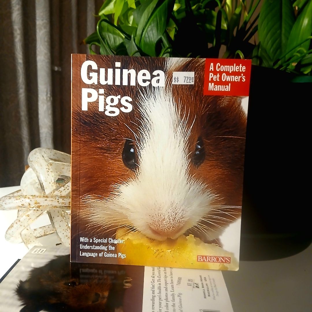 Guinea Pigs