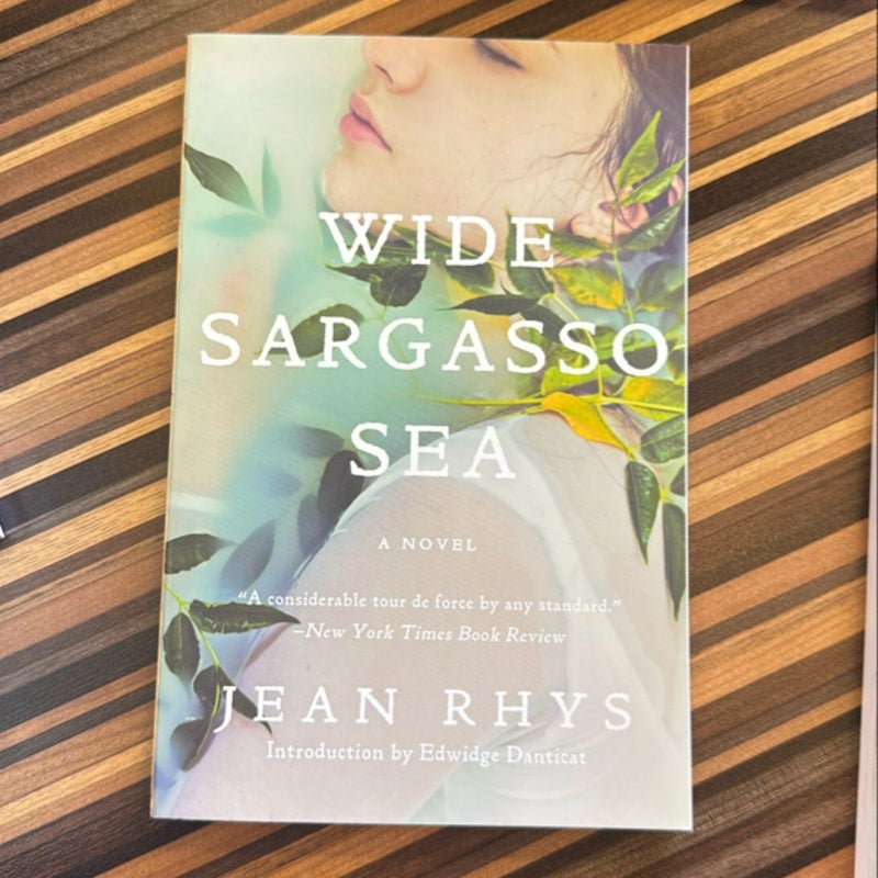 Wide Sargasso Sea